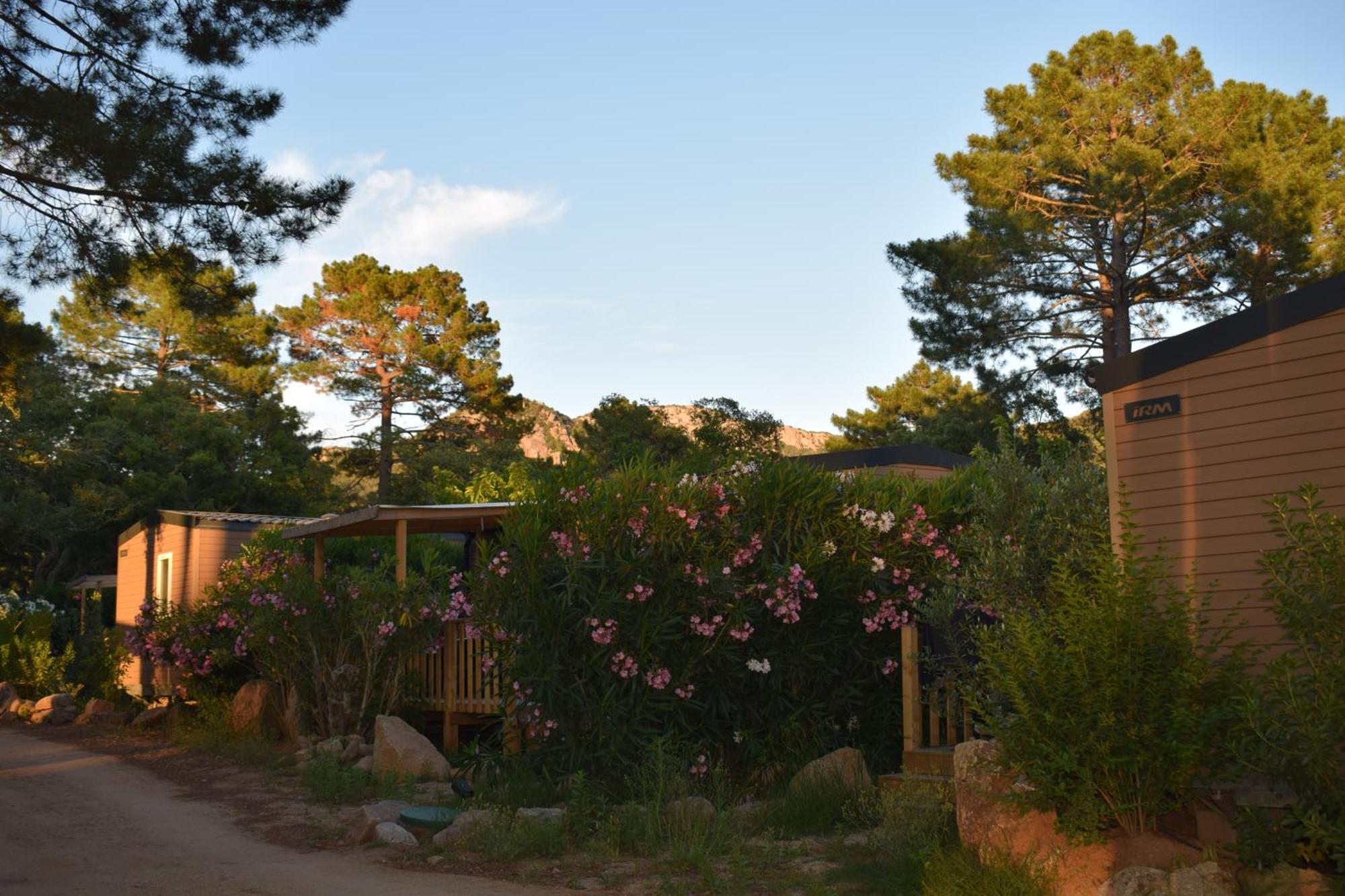 Petralegna Villa Porto-Vecchio  Exterior photo